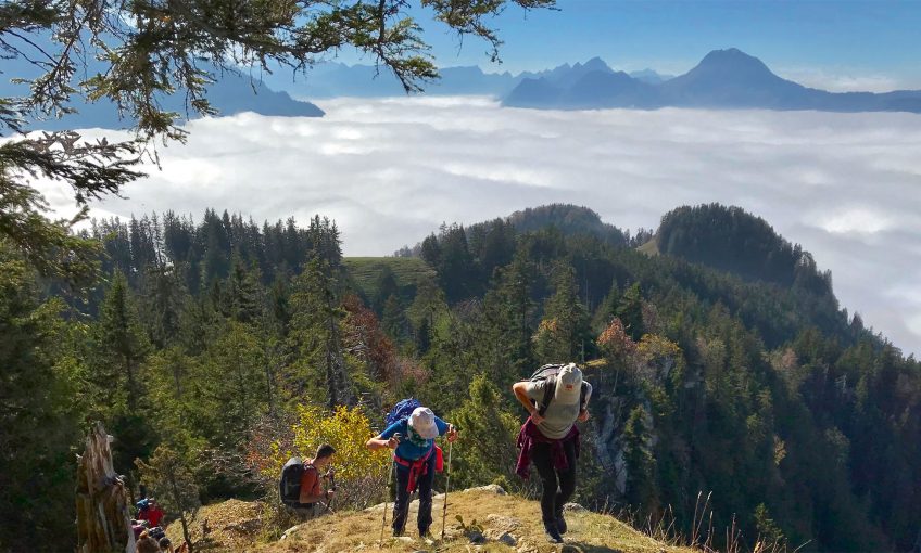 Récit de balade dans les pas du chamois dans les Préalpes fribourgeoises