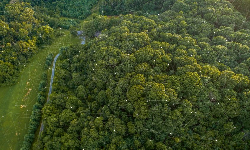 La transition écologique passe par la préservation des forêts