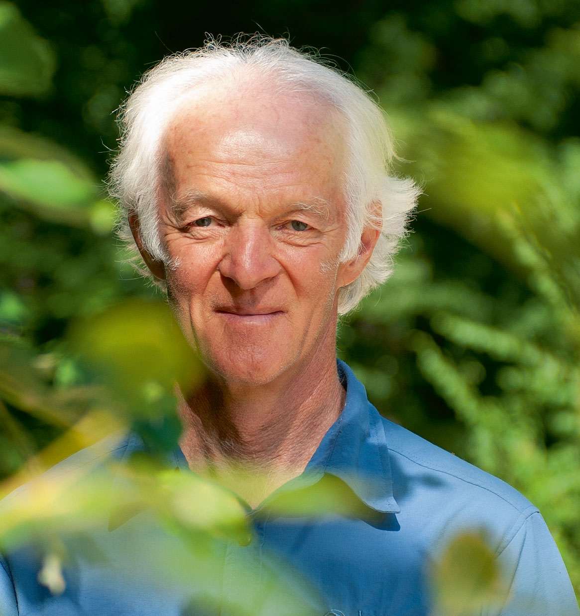 La transition écologique passe par la préservation des forêts