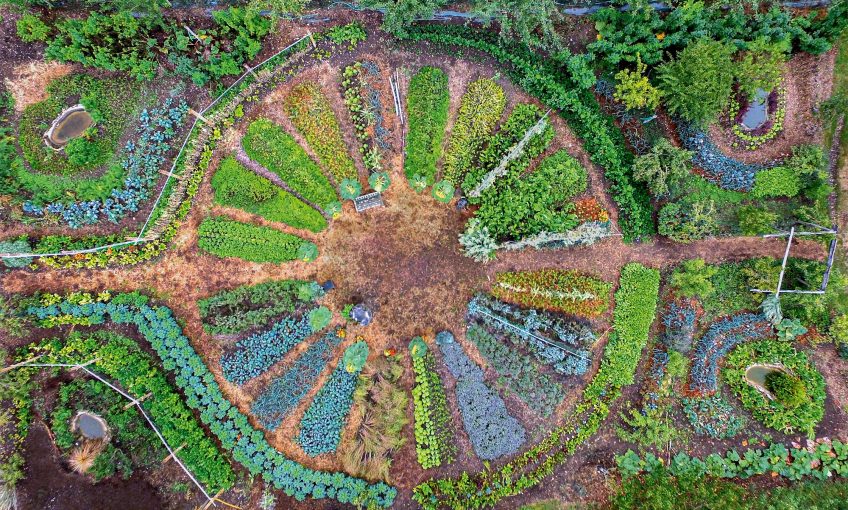 Les champignons peuvent être des alliés des jardiniers