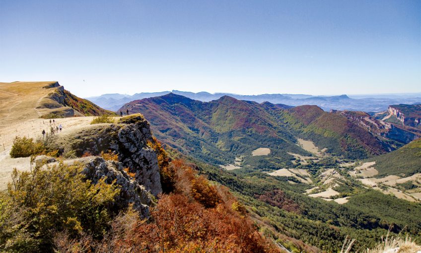 A la recherche du cerf élaphe dans le plateau du Vercors