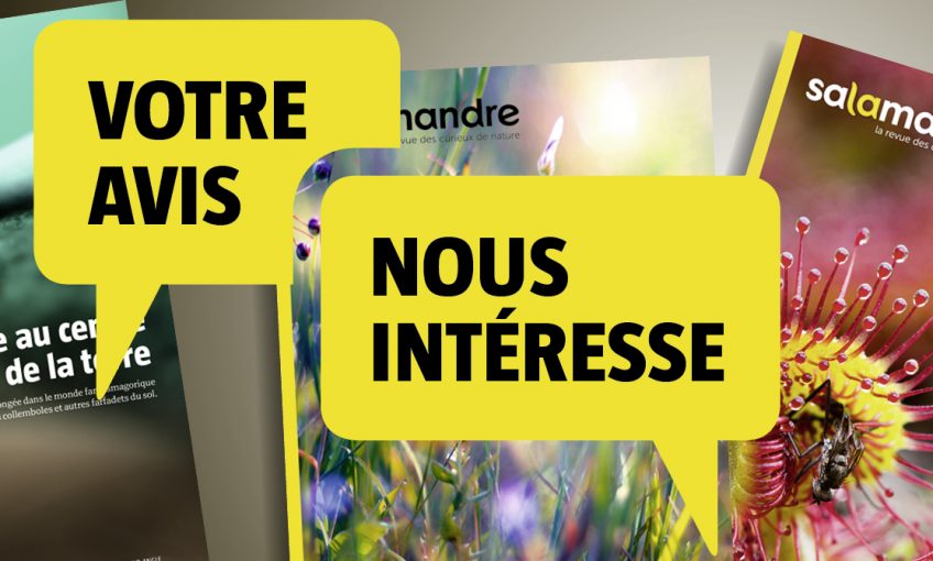 Salamandre votre avis nous intéresse