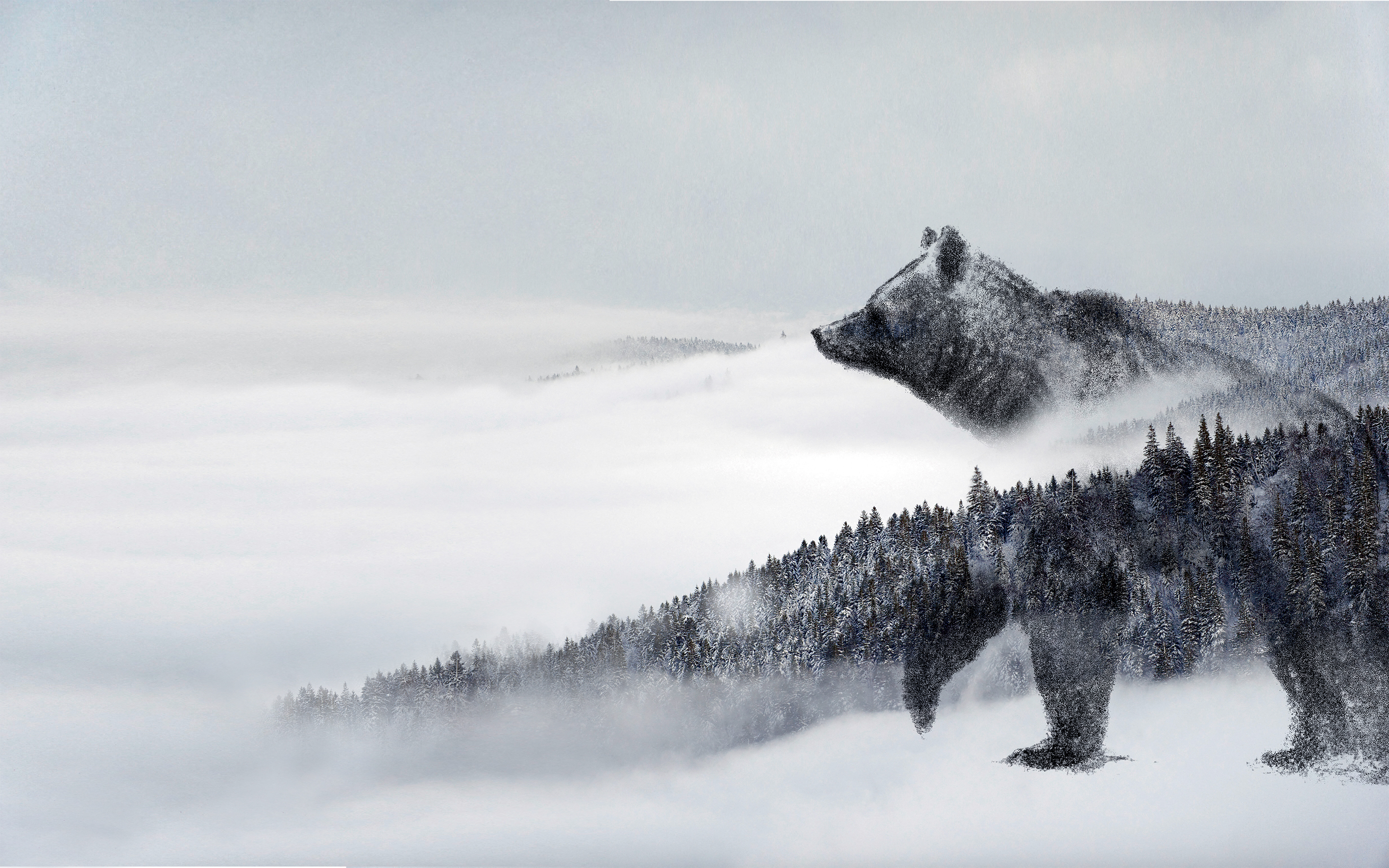Dossier complet sur l'ours