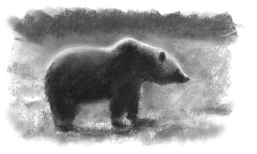 Le peintre Jean Chevallier dévoile ses rencontres avec l'ours