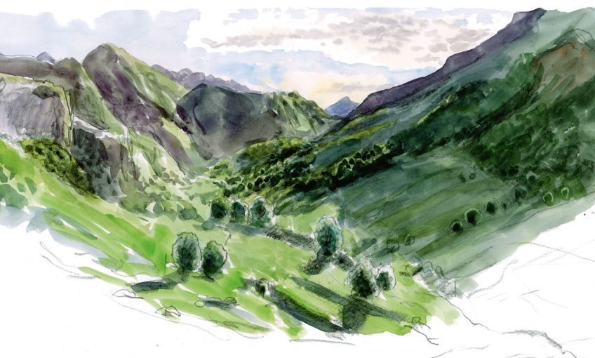 Sorita et Claverina, deux ours pour repeupler les Pyrénées