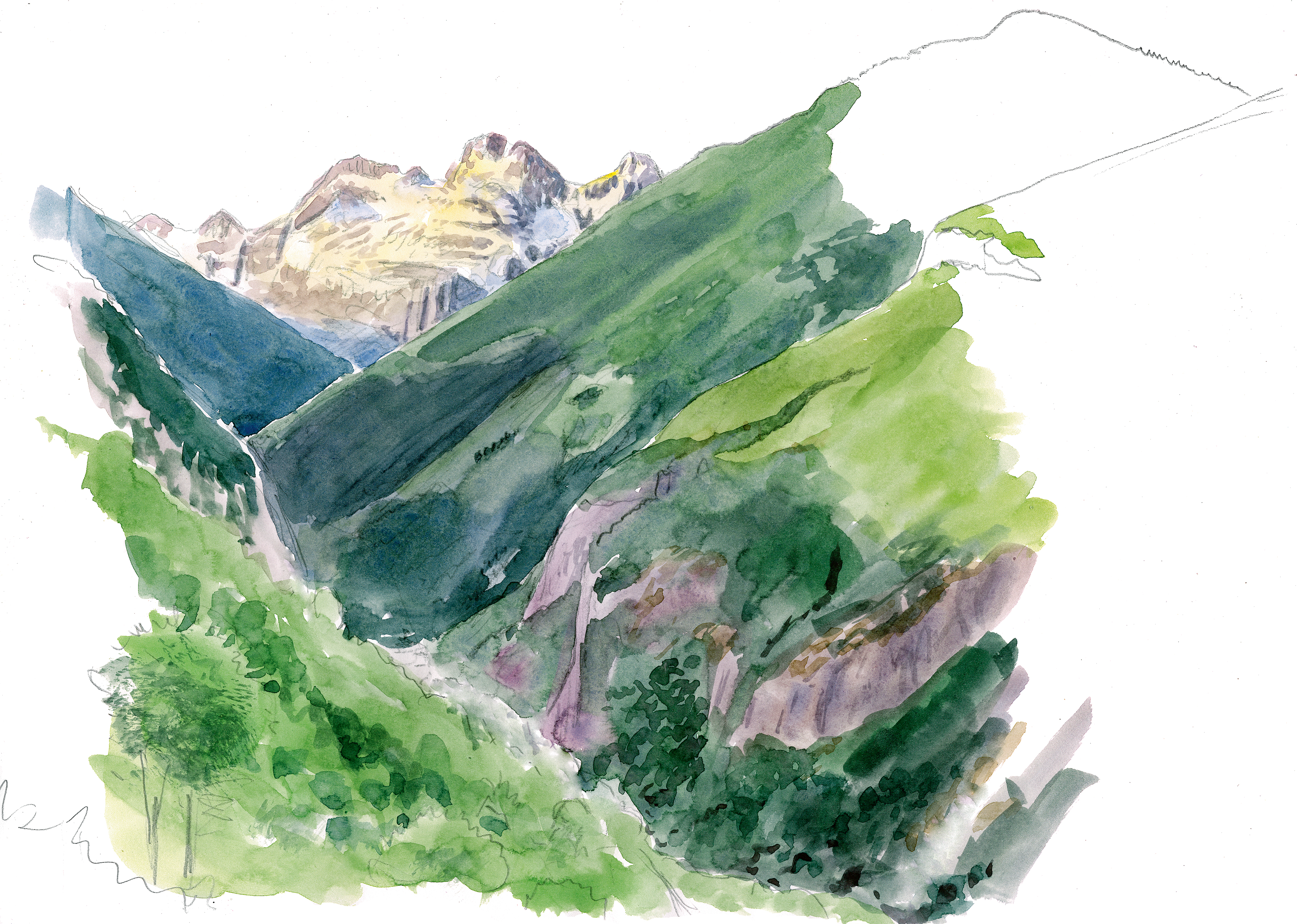 Sorita et Claverina, deux ours pour repeupler les Pyrénées