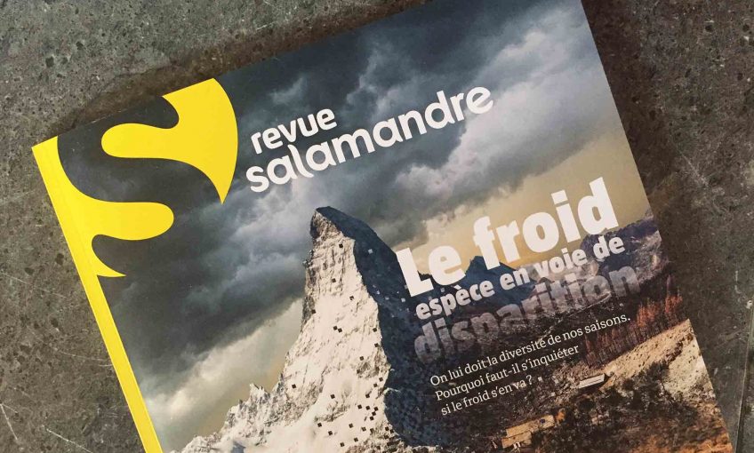 Revue Salamandre 256