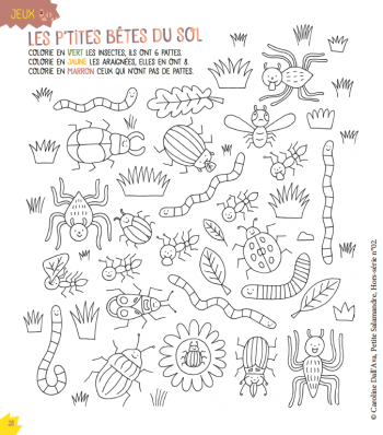 coloriage nature : occupez vos enfants avec nos dessins - La Salamandre