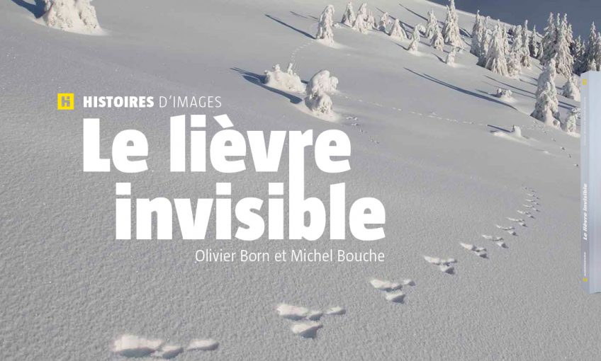 Header Présentation Le lièvre invisible