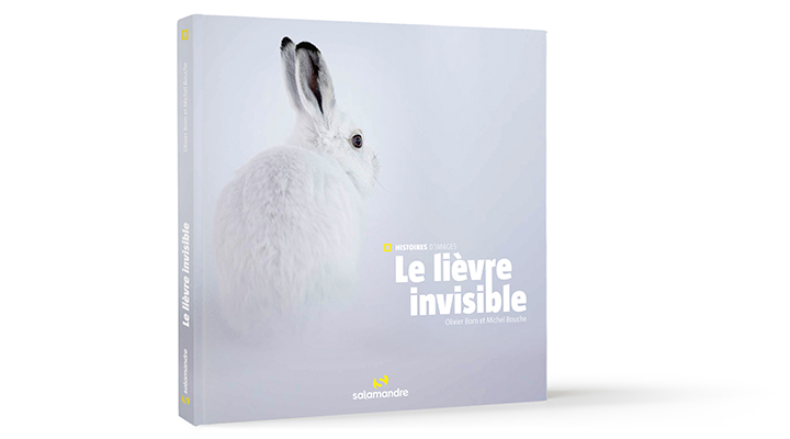 Histoires d'images Le lièvre invisible