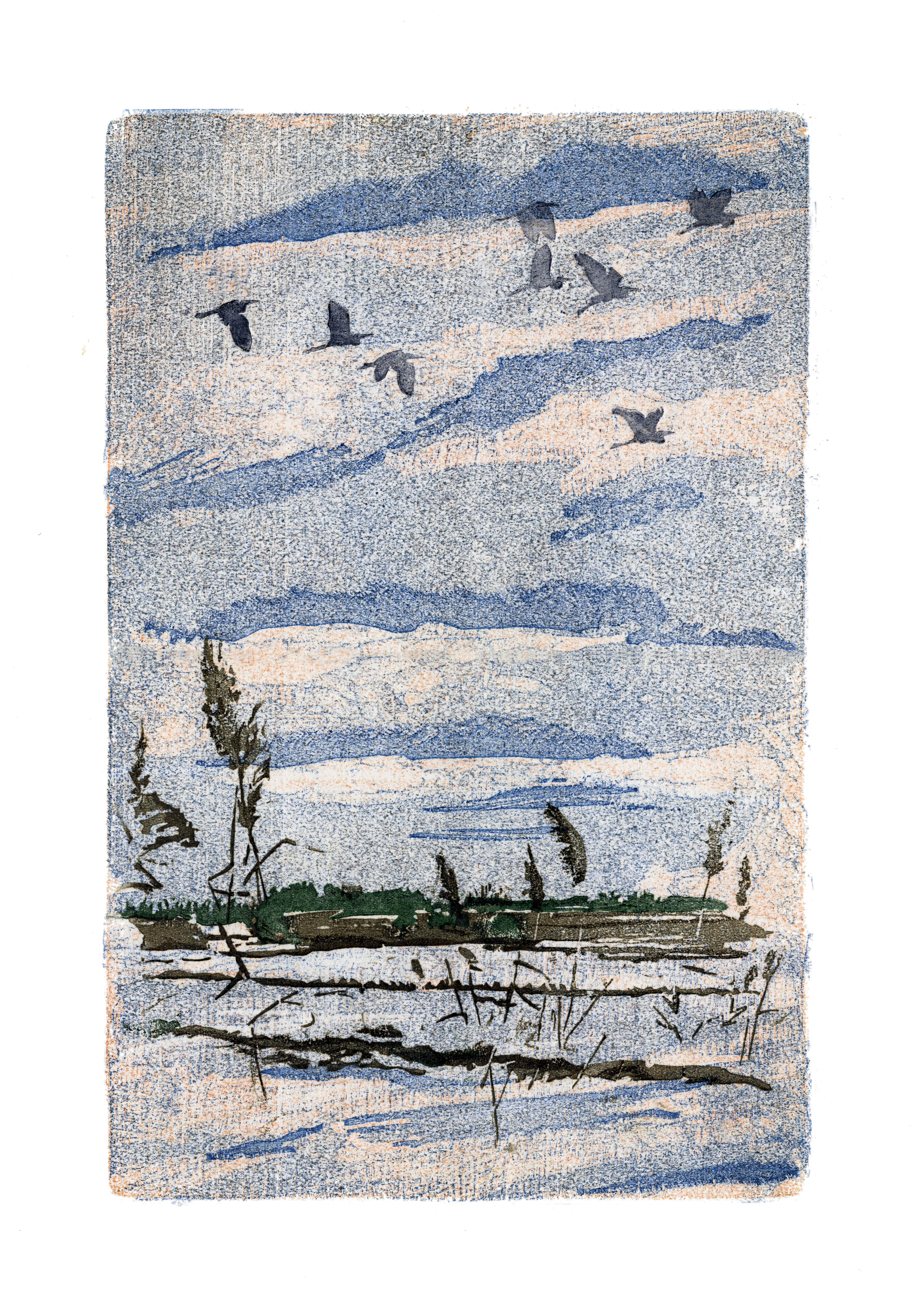 Vol de grandes aigrettes • Aigues-Mortes (Gard) • 26 janvier 2003 • gravure sur bois