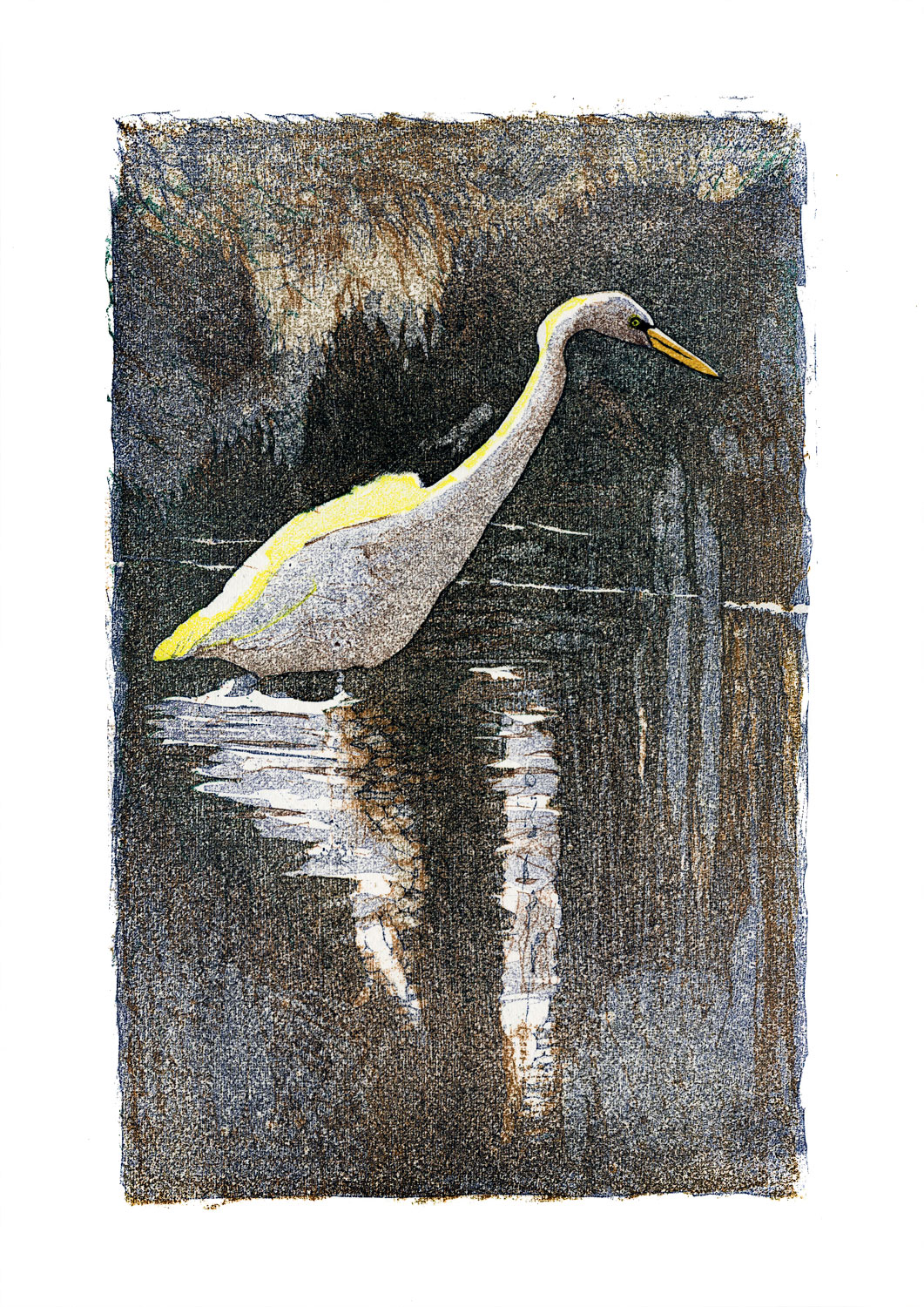 Grande aigrette • Le Crotoy (Somme) • février 2002 • gravure sur bois