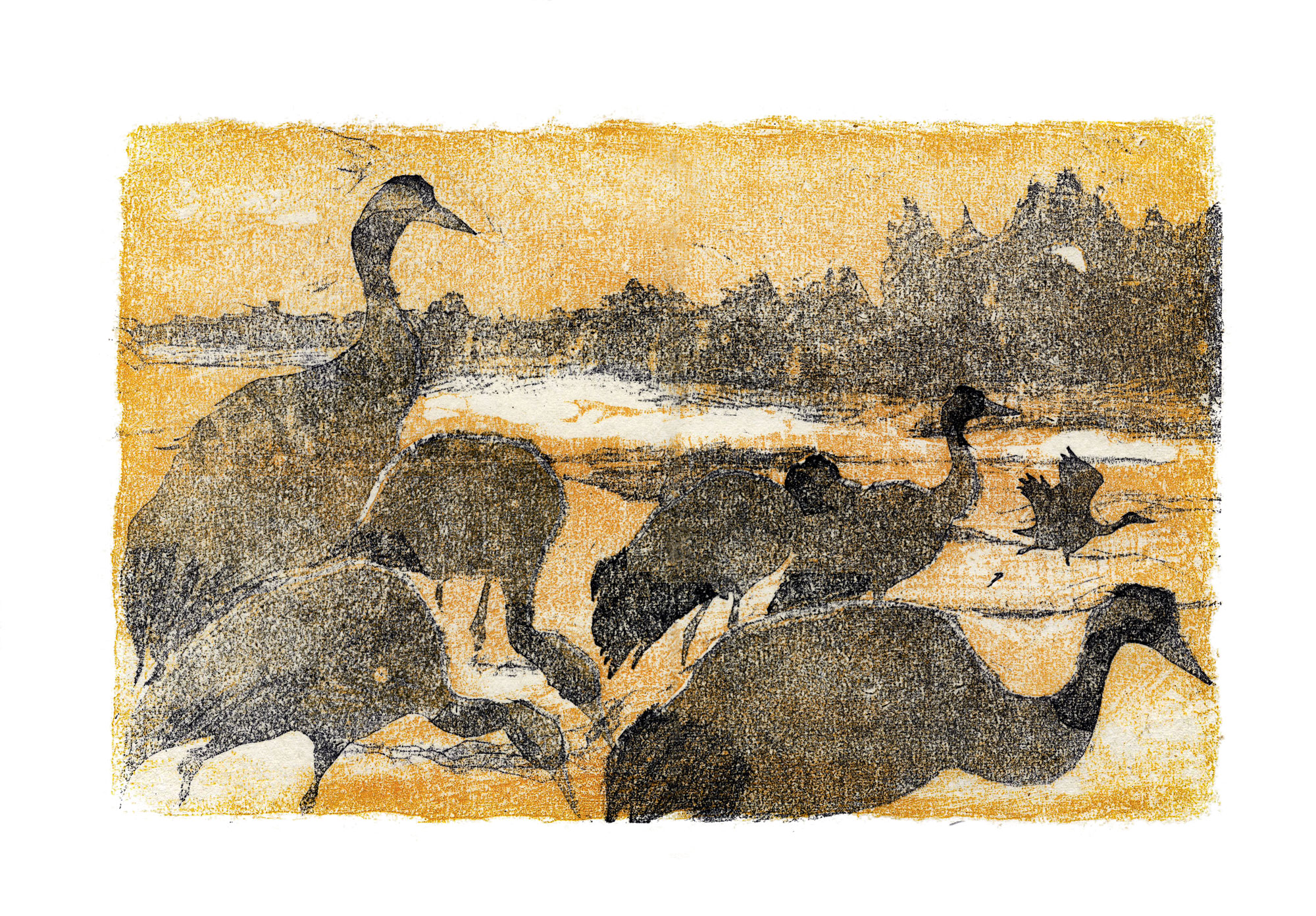 Grues au couchant • lac du Der (Marne) • 24 février 2000 • gravure sur bois