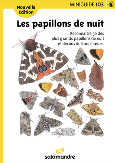 Miniguide 103 Les papillons de nuit