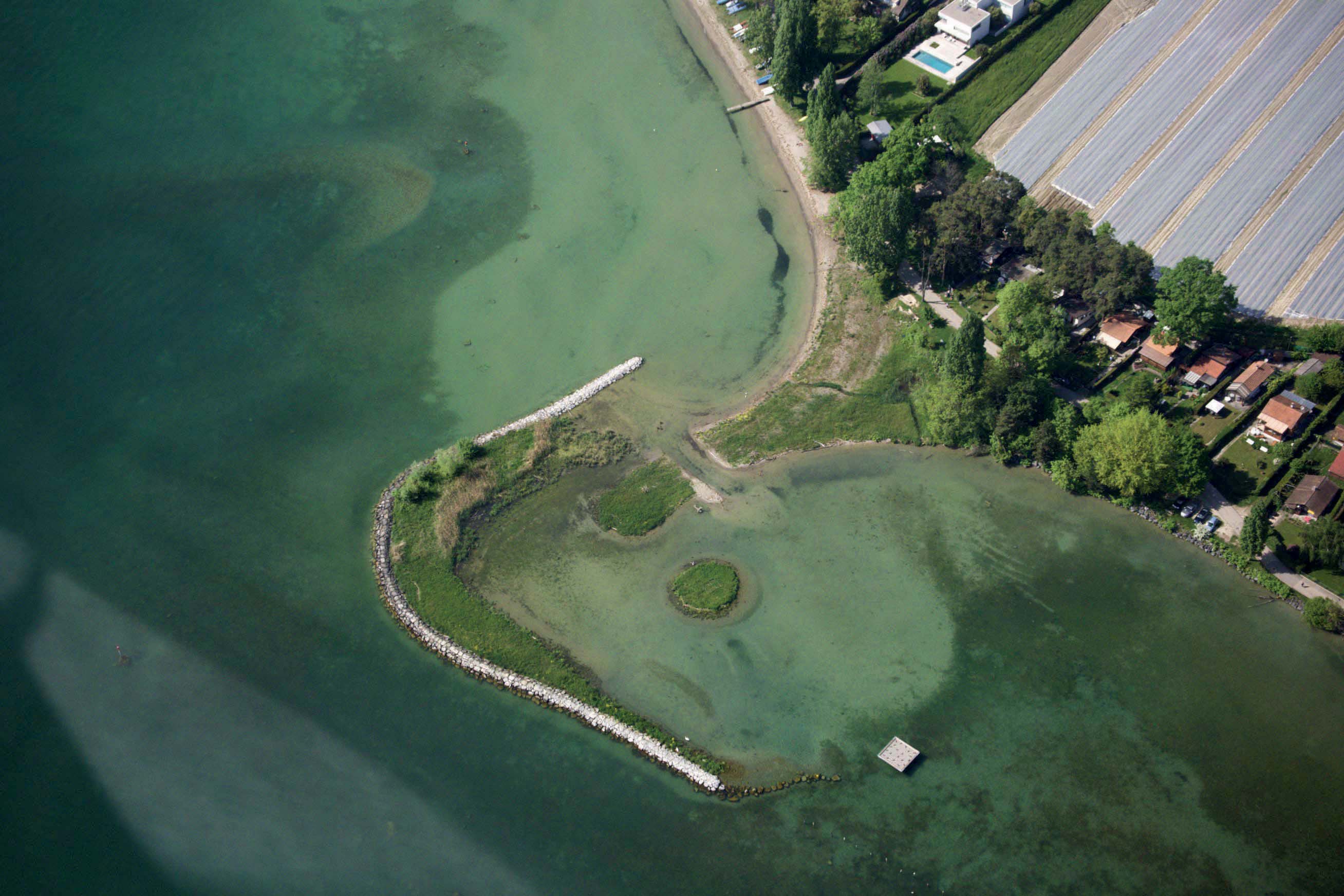 Balade naturaliste le long de la Venoge, de mares en île