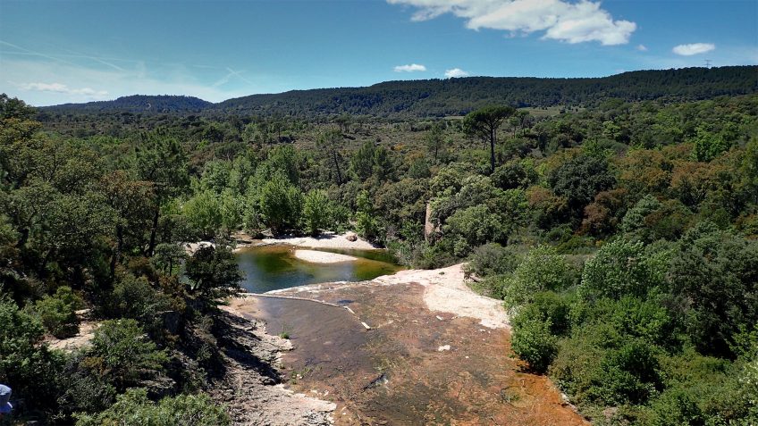 Balade Dans Le Maquis Varois La Salamandre