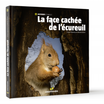 La face cachée de l'écureuil