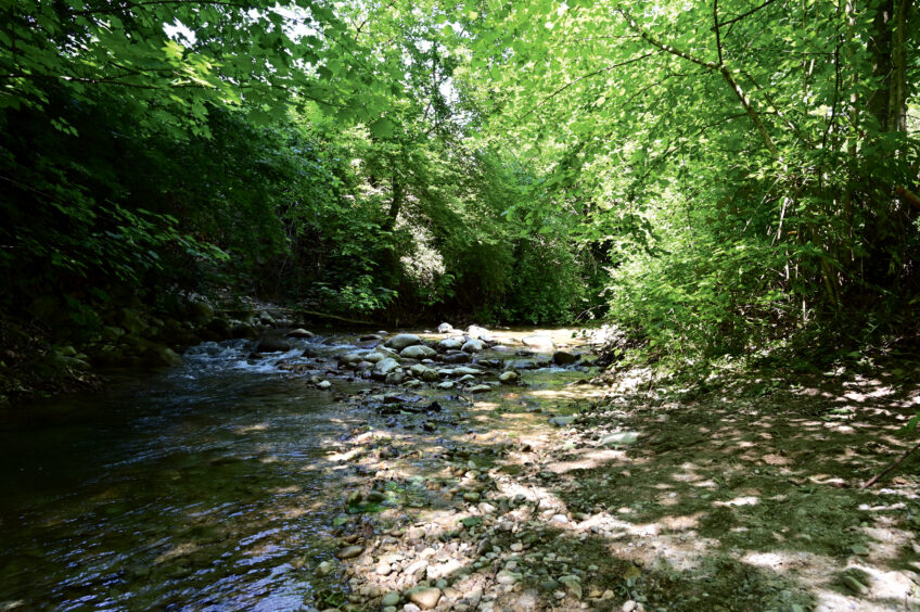 Le sentier suit le cours du ruisseau de la Combe puis de la Serine.