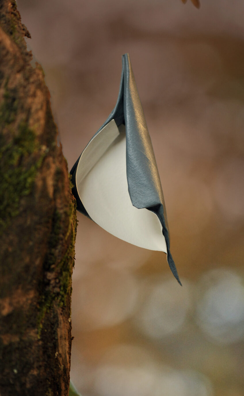 Origamis : des oiseaux de papiers dans leur environnement