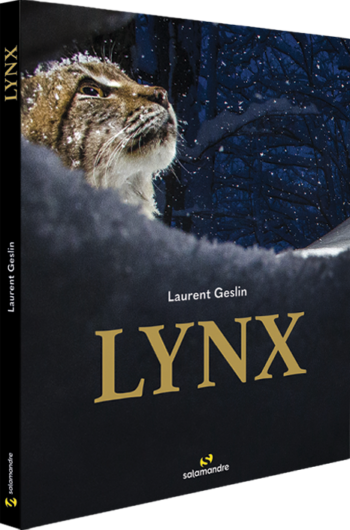 Lynx, le festin du félin en photos par Laurent Geslin