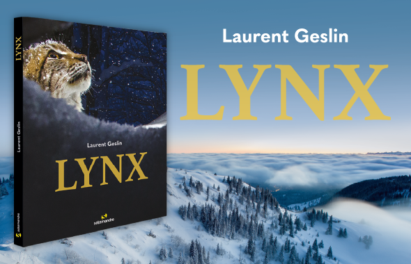 Le Lynx - Un animal protégé mais menacé - GEBEKA Films - GEBEKA Films