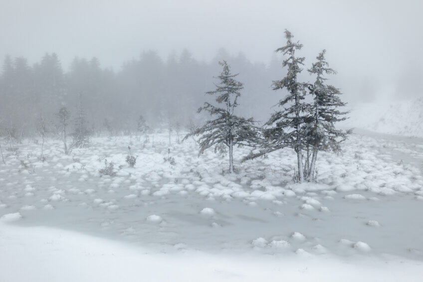 L'hiver éphémère du photographe Emmanuel Boitier