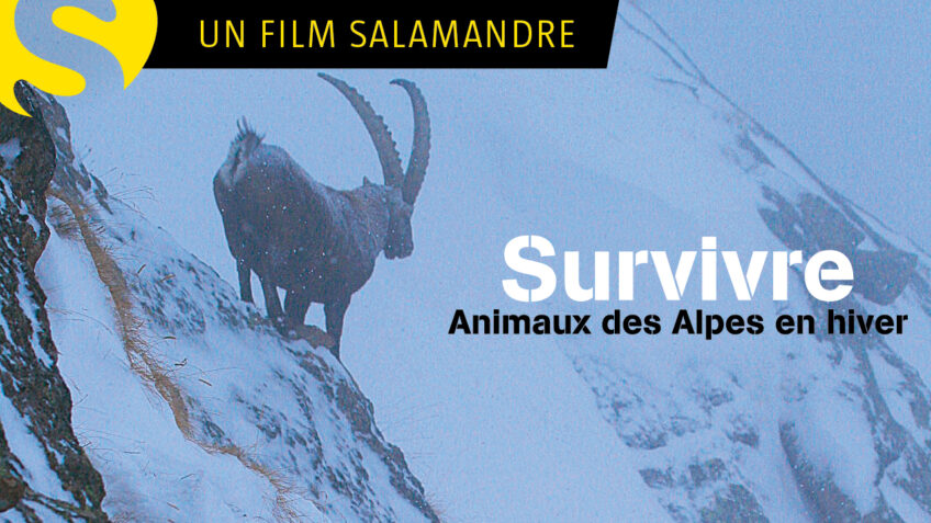 Survivre - Animaux des Alpes en hiver