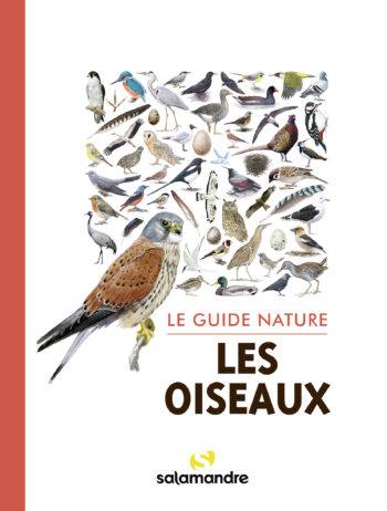 Guide nature Les oiseaux, 2e édition