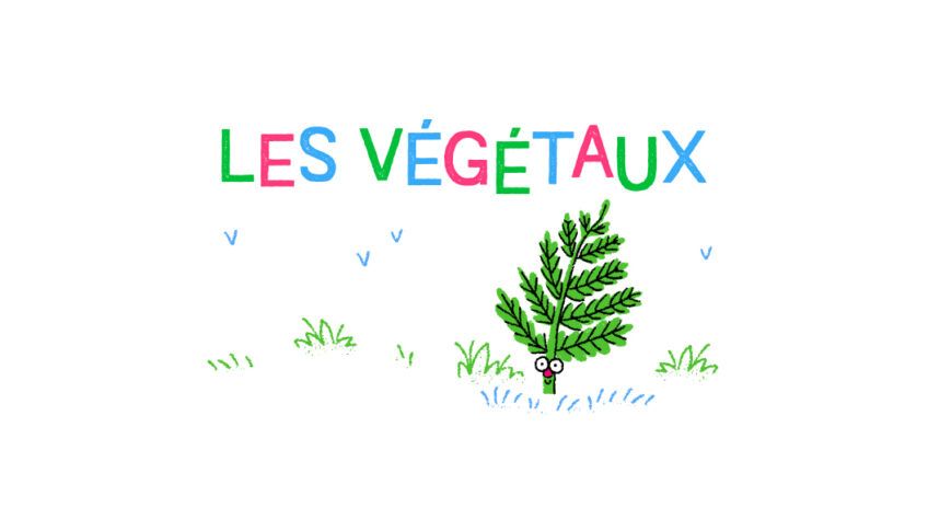 Toute la germination expliquée aux enfants