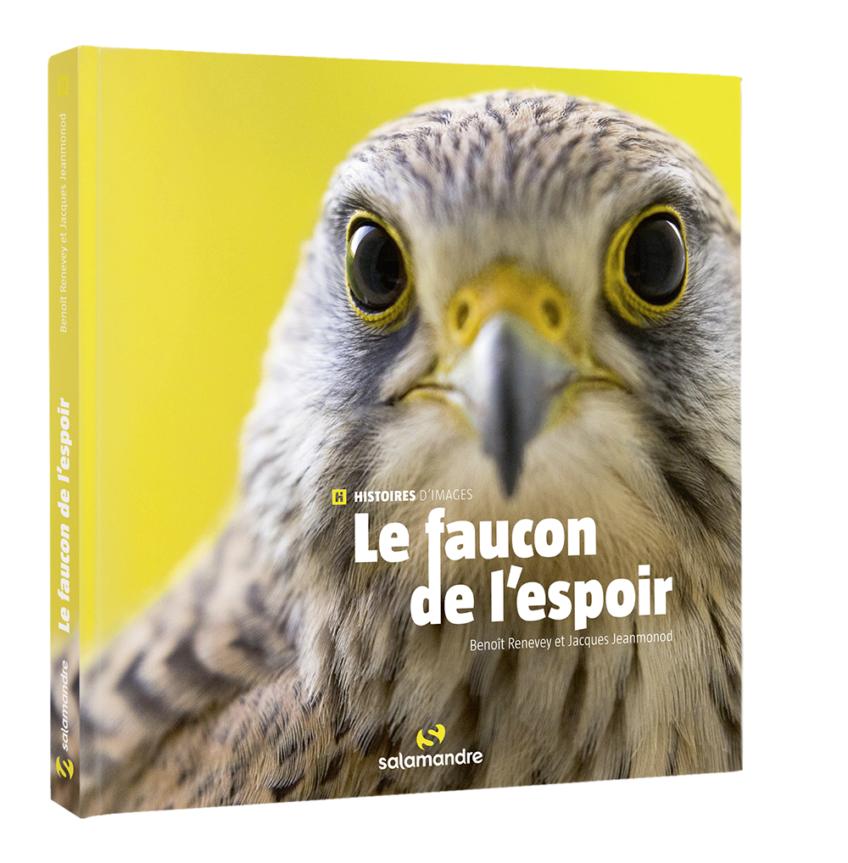 La couverture final du livre Le faucon de l'espoir