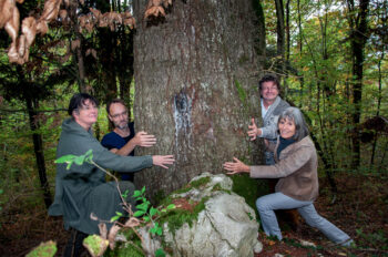 Britta Veuve, Fabrice Plomb, Philippe Vauthier et Sonja Christensen (de gauche à droite autour du tronc) souhaitent préserver de grands arbres d’essences variées prôner des méthodes de débardage plus légères.