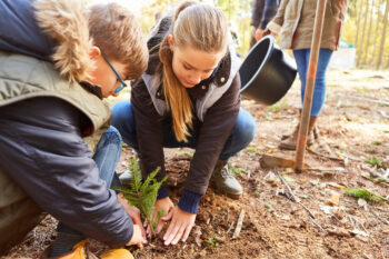 Two children plant a tree in the forest during a reforestation campaign on a forest school day