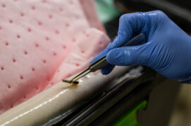 Une fine incision est réalisée dans la peau de l'anguille pour intégrer une petite puce. / © THEO TZELEPOGLOU