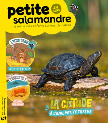 Petite Salamandre n°54 (juin-juillet 2024)