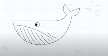 Apprends à dessiner avec Sam - La Baleine - Petite Salamandre