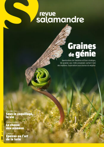 Couverture de La Salamandre n°283