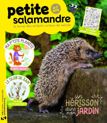 Couverture de La Petite Salamandre n°56