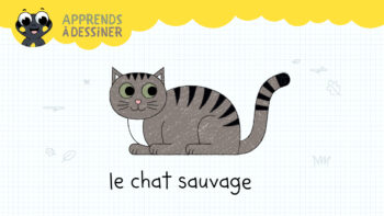 Japprends a dessiner avec Sam-chat sauvage - petite Salamandre