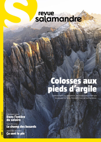 Couverture de La Salamandre n°285