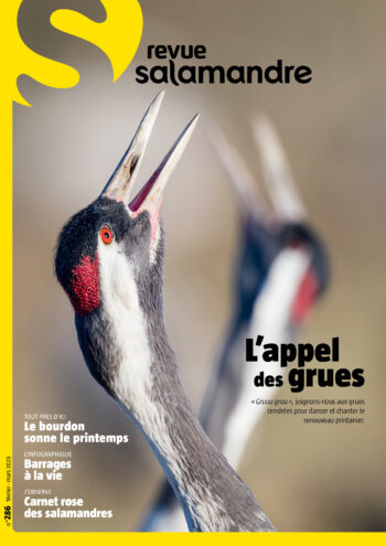 Couverture de La Salamandre n°286