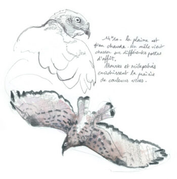 2-affut et degustation_buse salamandre 288