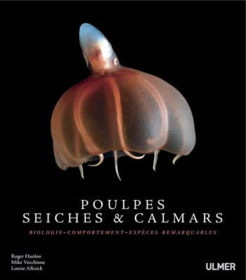 Poulpes, seiches & calamars R. Hanlon, M. Vecchione, L. Allcock, éd. Ulmer, 2019