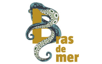 Bras de mer poulpe salamandre 288