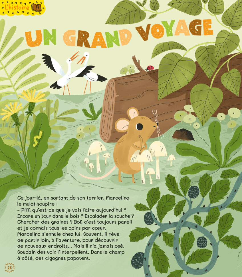Podcast psa60 histoires nature de la petite salamandre un grand voyage