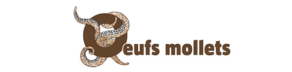 Poulpe oeufs revue salamandre 288
