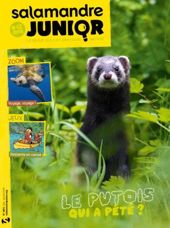 Couverture du magazine jeunesse