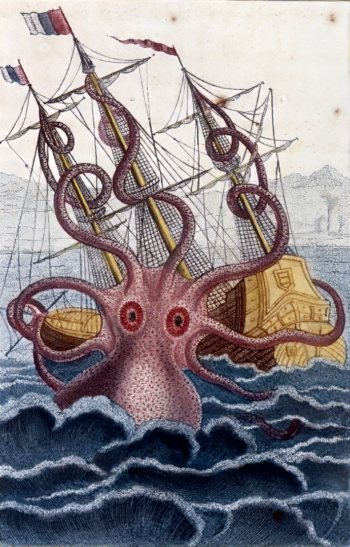 Kraken poulpe salamandre 288