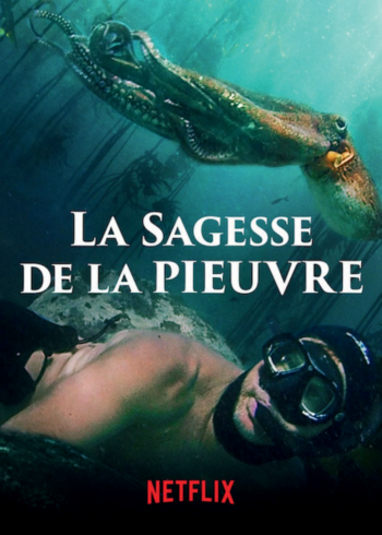 La Sagesse de la pieuvre P. Ehrlich et J. Reed., Netflix, 2020, 85 min
