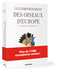 le-comportement-des-oiseaux-d-europe_salamandre