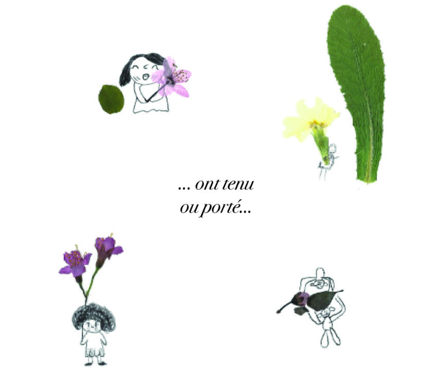 post insta portraits herbiers8